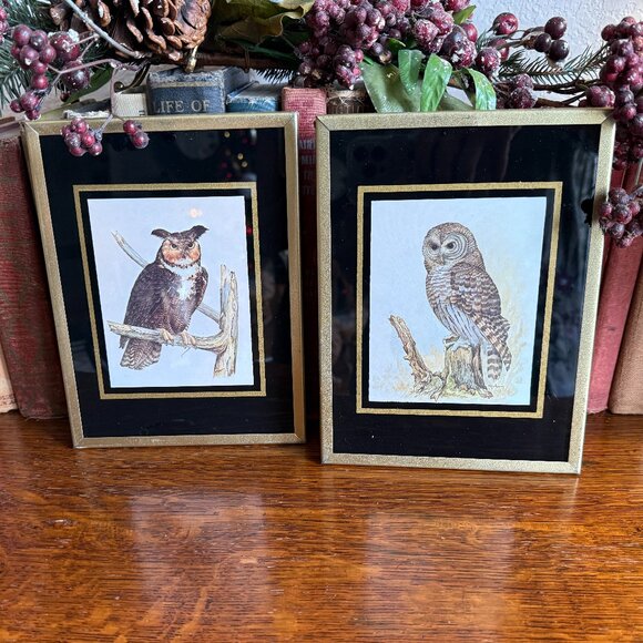 Vintage Other - 1971 Reverse paint Owl pictures